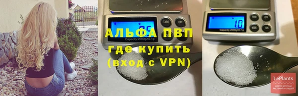 хмурый Магас