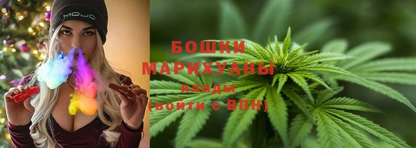 хмурый Магас