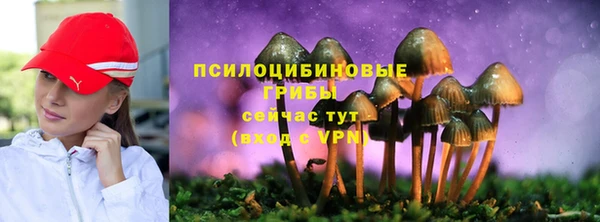 PSILOCYBIN Магадан