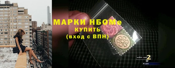 хмурый Магас