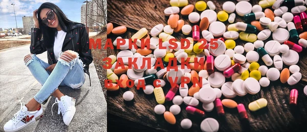 хмурый Магас