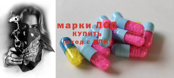 хмурый Магас