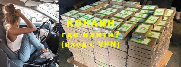 хмурый Магас