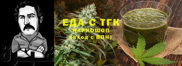 хмурый Магас