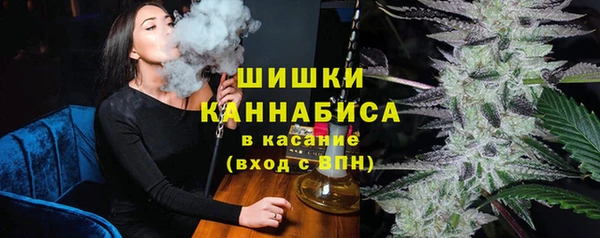 хмурый Магас