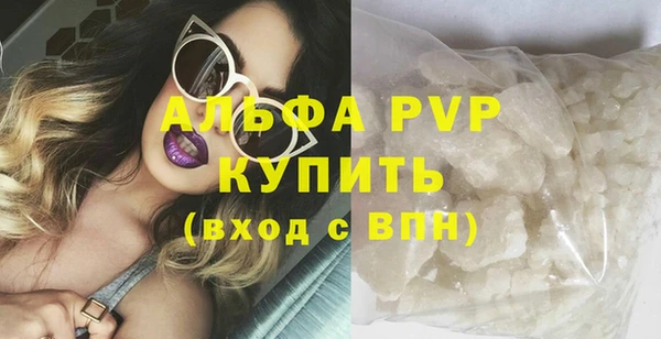 хмурый Магас