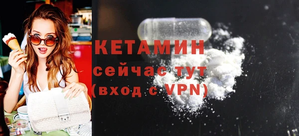 хмурый Магас