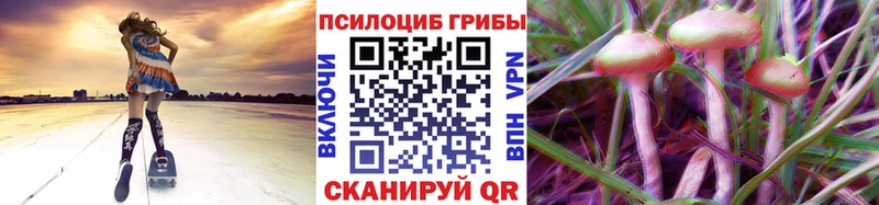 гидра вход  Комсомольск-на-Амуре  Псилоцибиновые грибы Cubensis 