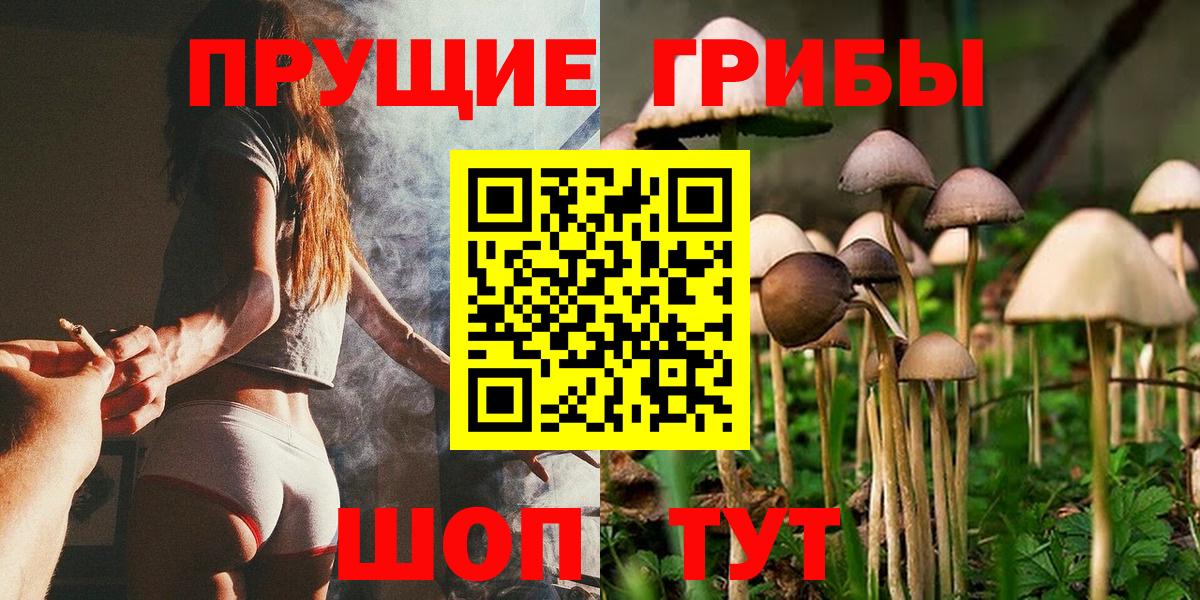 наркошоп  Комсомольск-на-Амуре  Псилоцибиновые грибы мухоморы 