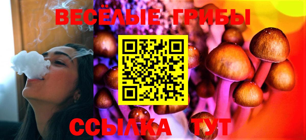 Комсомольск-на-Амуре  Псилоцибиновые грибы мухоморы  Вход с VPN 